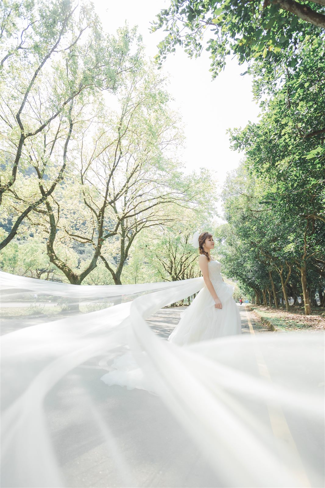 中壢森林系婚紗,中壢婚紗風格