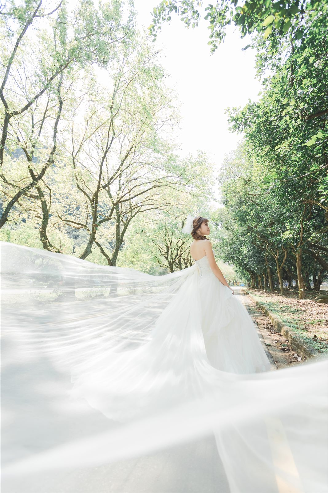 中壢森林系婚紗,中壢婚紗風格
