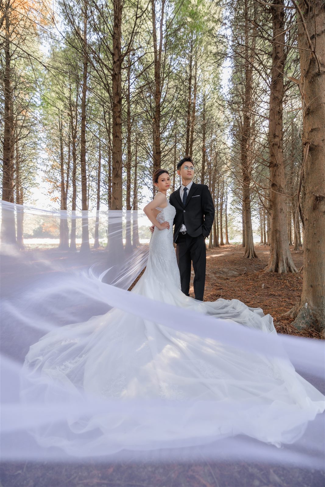 中壢森林系婚紗,落羽松婚紗